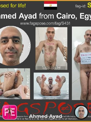 All — Ahmed Ayad